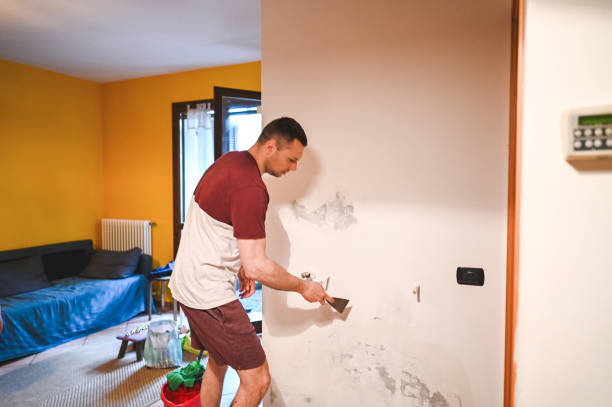Best Crawl Space Mold Remediation in Park Hills, KY